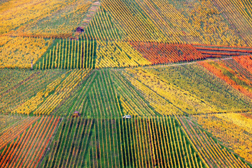 �1757044 �������(a): ����������:2048x1365